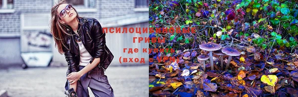 гидра Баксан