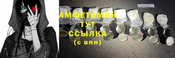 амф Россошь